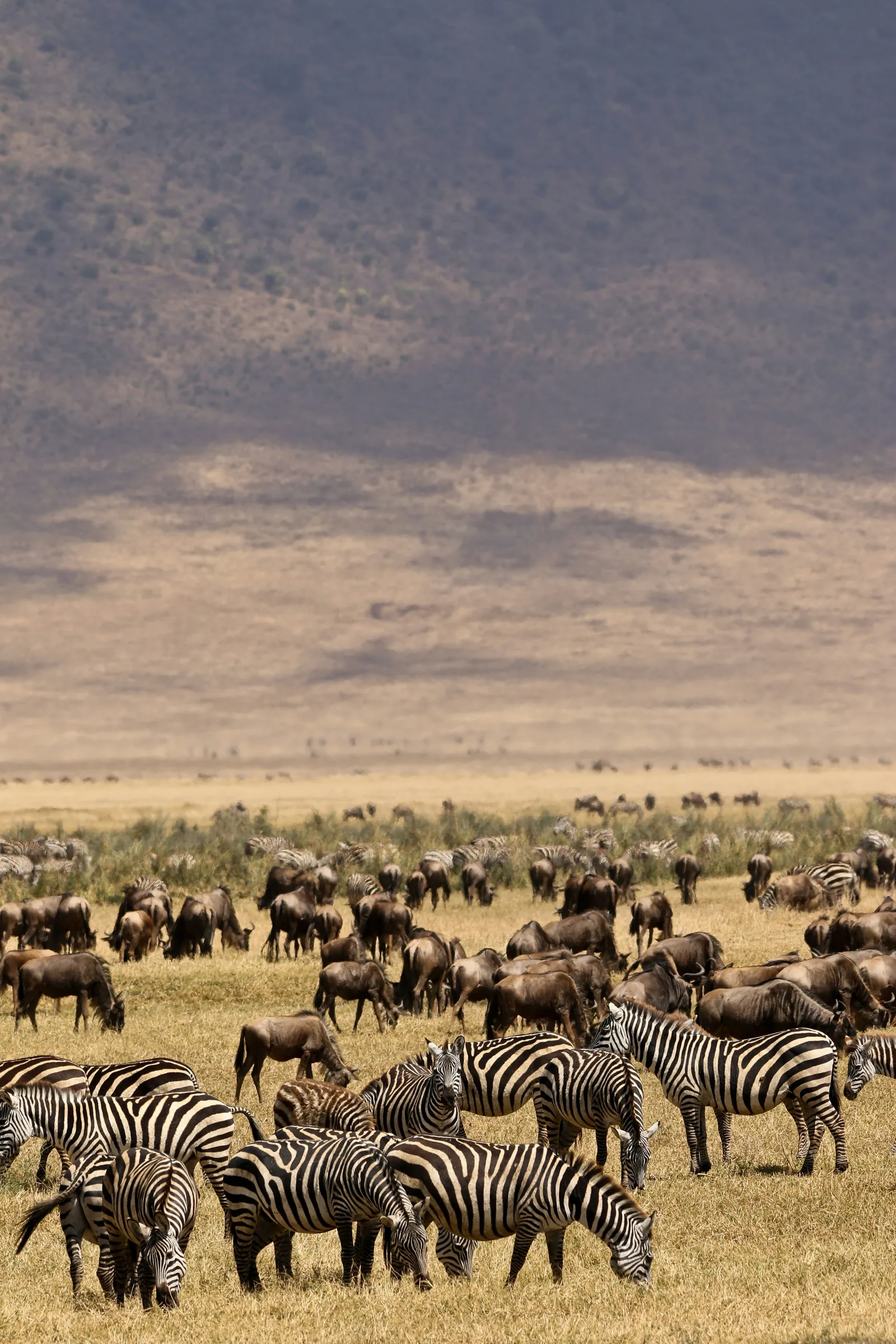 10 Days Discovery Safari