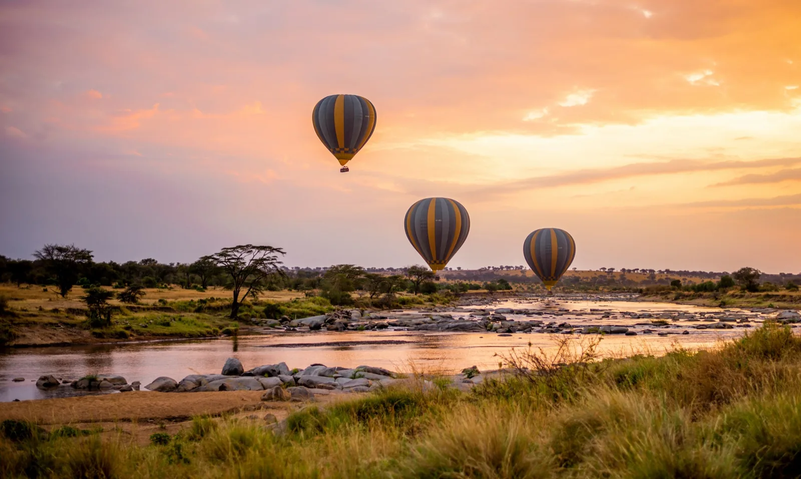 Best Time To Visit Serengeti For The Great Migration