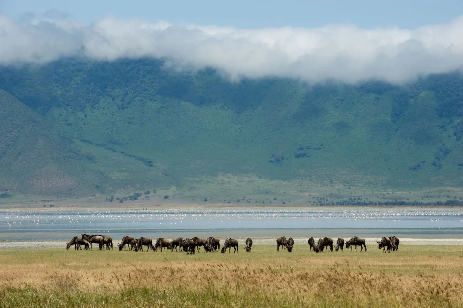 Ngorongoro Serena Safari Lodge